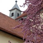Blühende Bäume ... (© Haus St. Benedikt, Pater Mag. Siegfried Stattmann OSB)