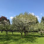 ... Frühling 2018 (© RE PHOTO). ...